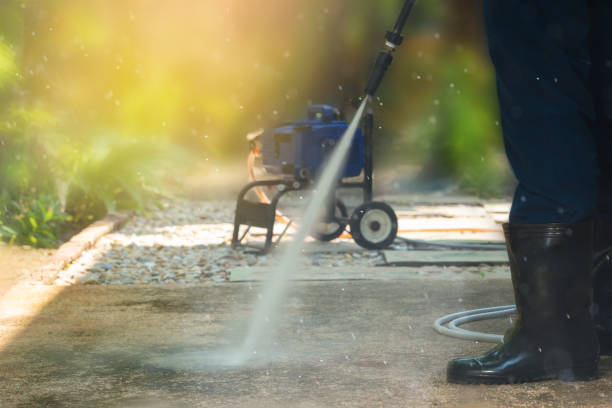 Best Roof Washing  in Lihue, HI